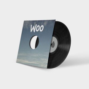 A record is on top of the disc.
